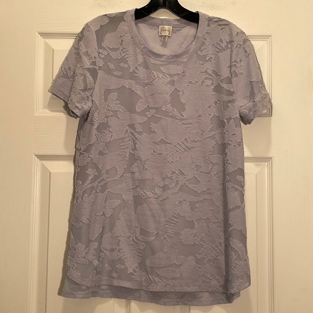 Cupio Pale Blue Sheer Abstract Floral Short Sleeve Top